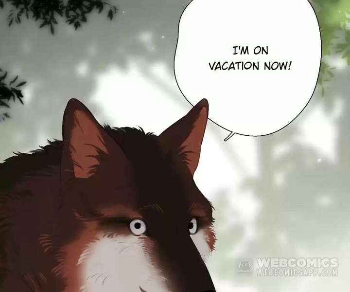 ch 65 27