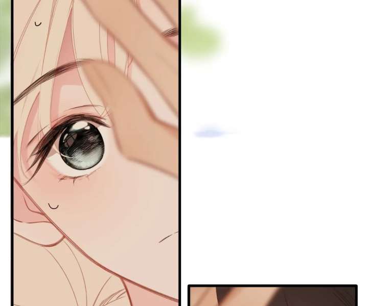 ch 66 64
