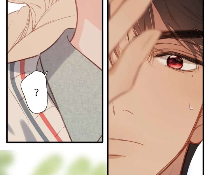 ch 66 65