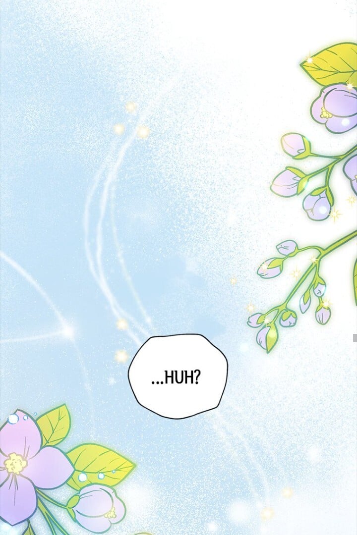 Luce: My New Identity as a Contract Wife Chapter 3 379 030