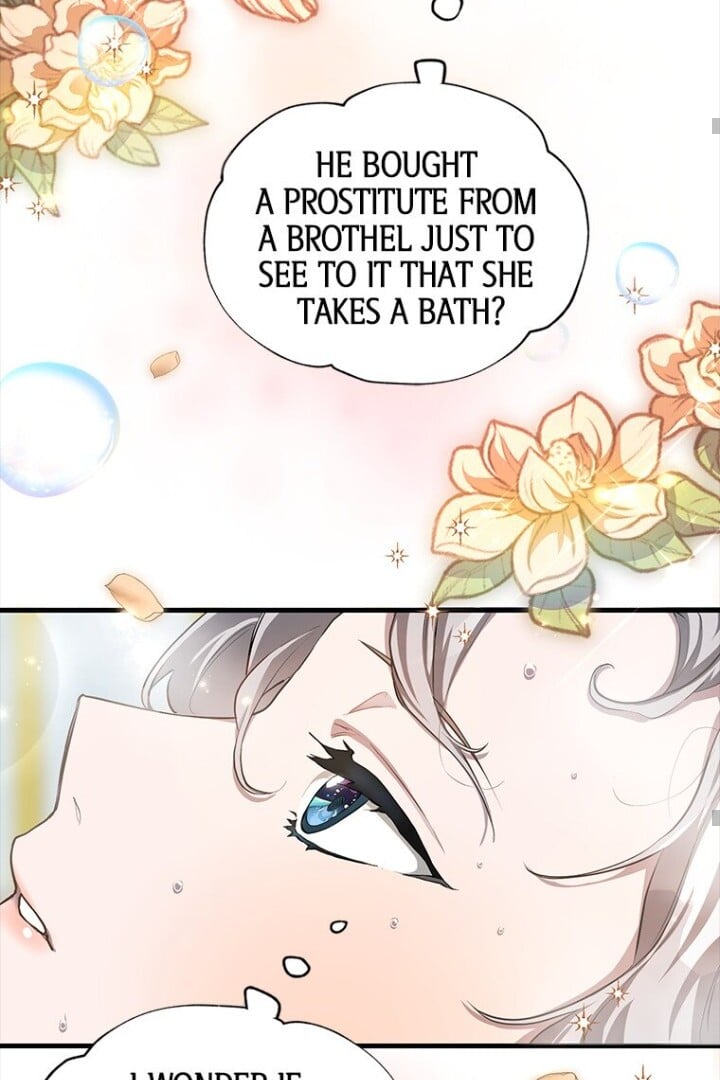 Luce: My New Identity as a Contract Wife Chapter 3 384 035