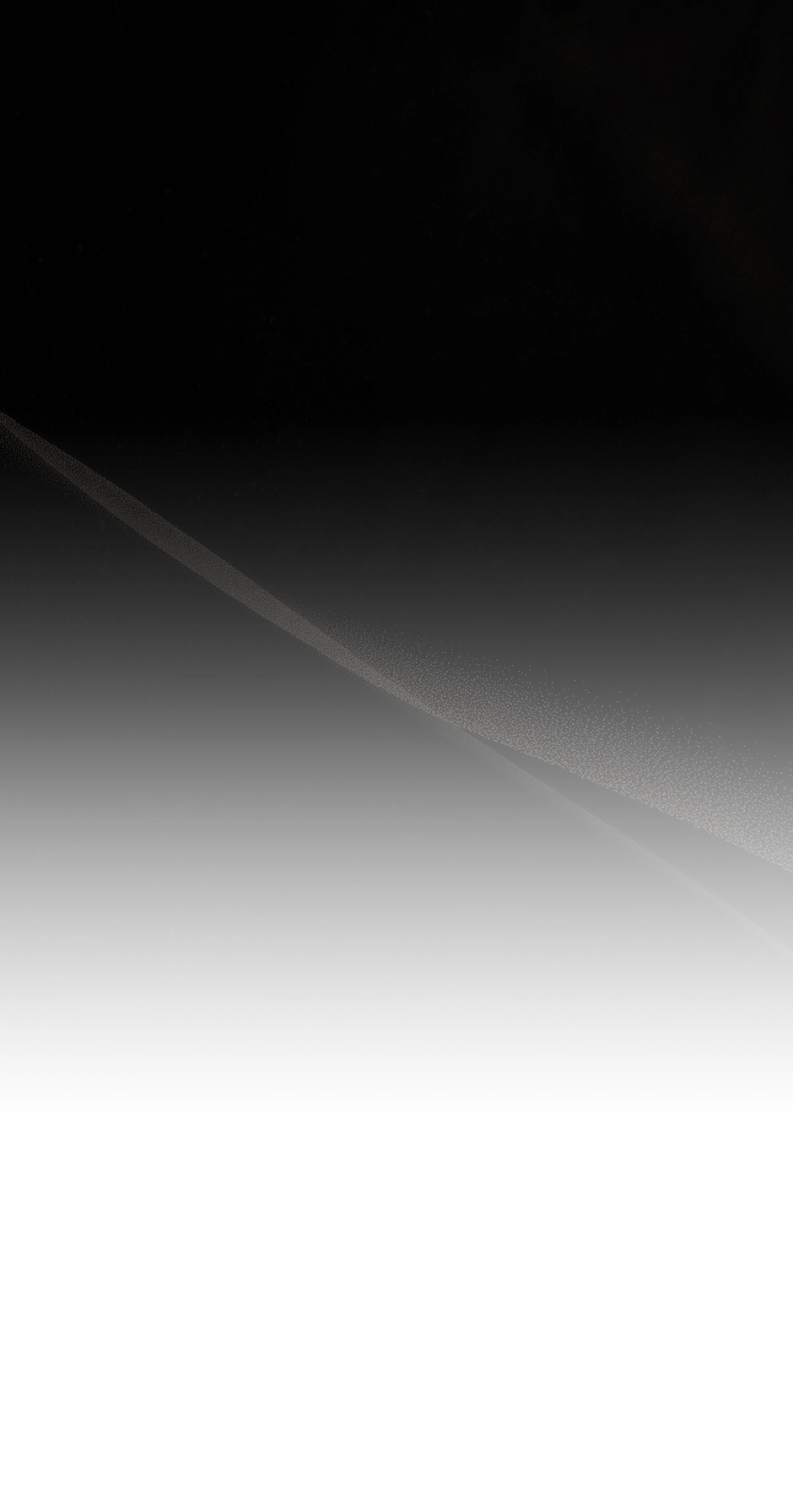 81