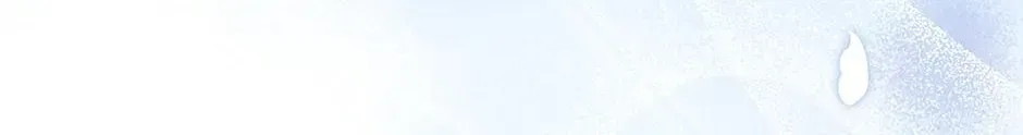 94618dbdfb91 44 webp