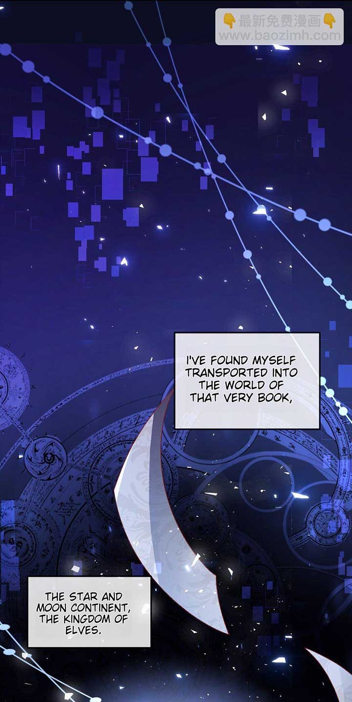 It Is Said That I Am a Fairy Princess Chapter 1 217 48