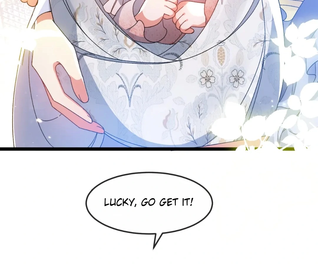 66