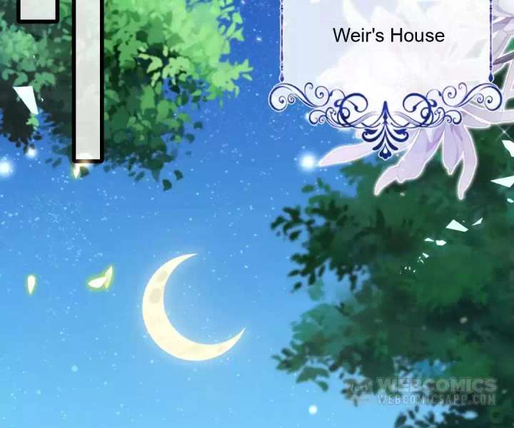 It Is Said That I Am a Fairy Princess Chapter 34 266 19