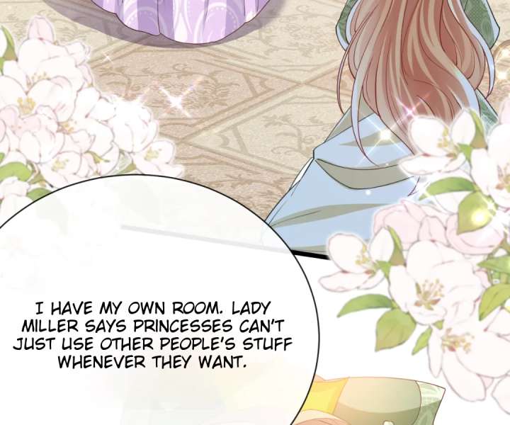 It Is Said That I Am a Fairy Princess Chapter 44 267 08
