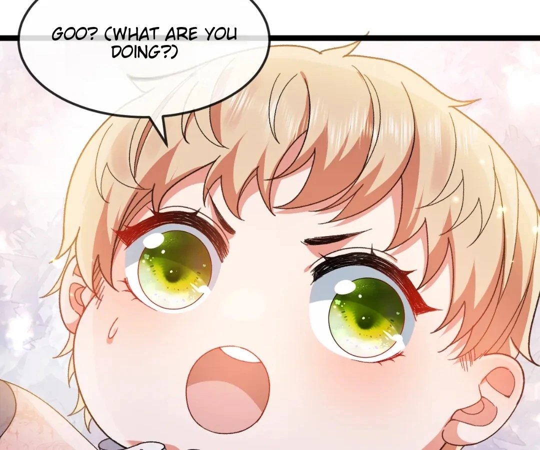 66