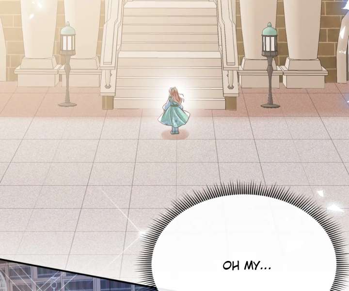 It Is Said That I Am a Fairy Princess Chapter 56 315 47
