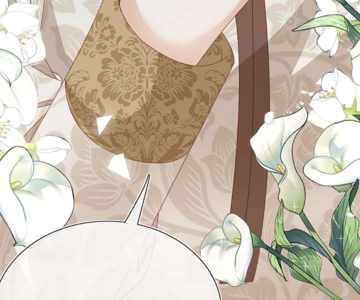 It Is Said That I Am a Fairy Princess Chapter 74 401 97