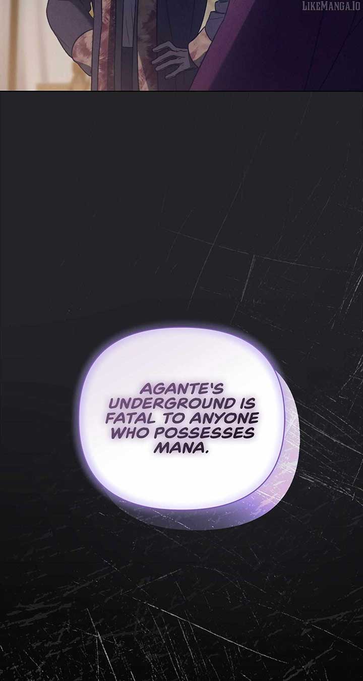 81