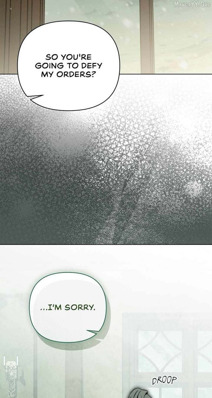 ch 77 79