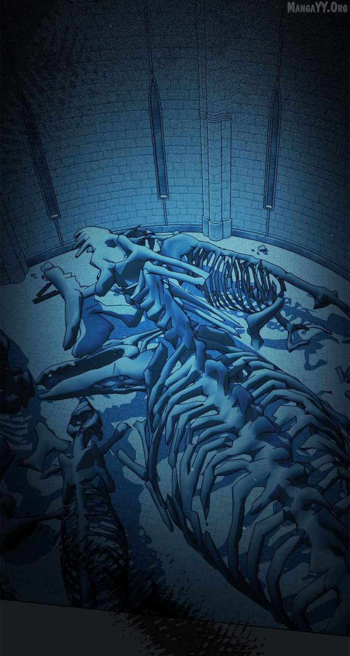 ch 78 46