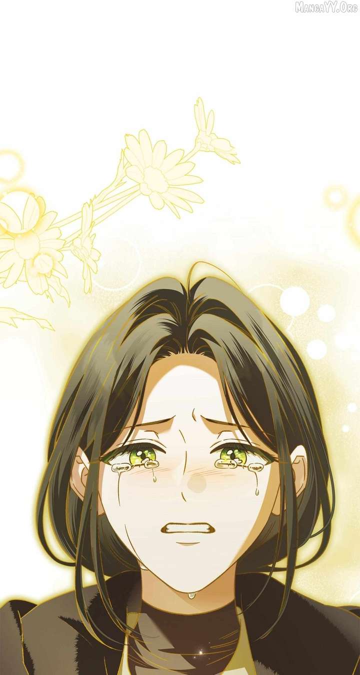ch 81 1