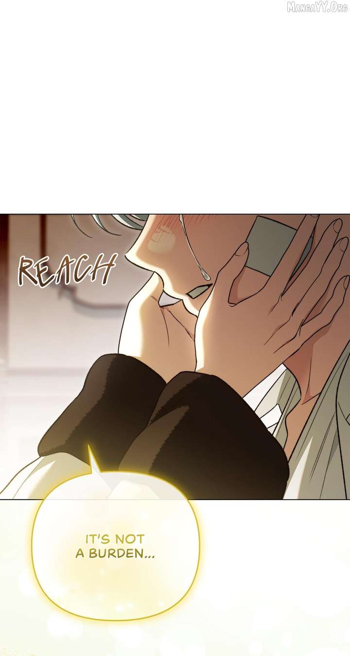 ch 81 35