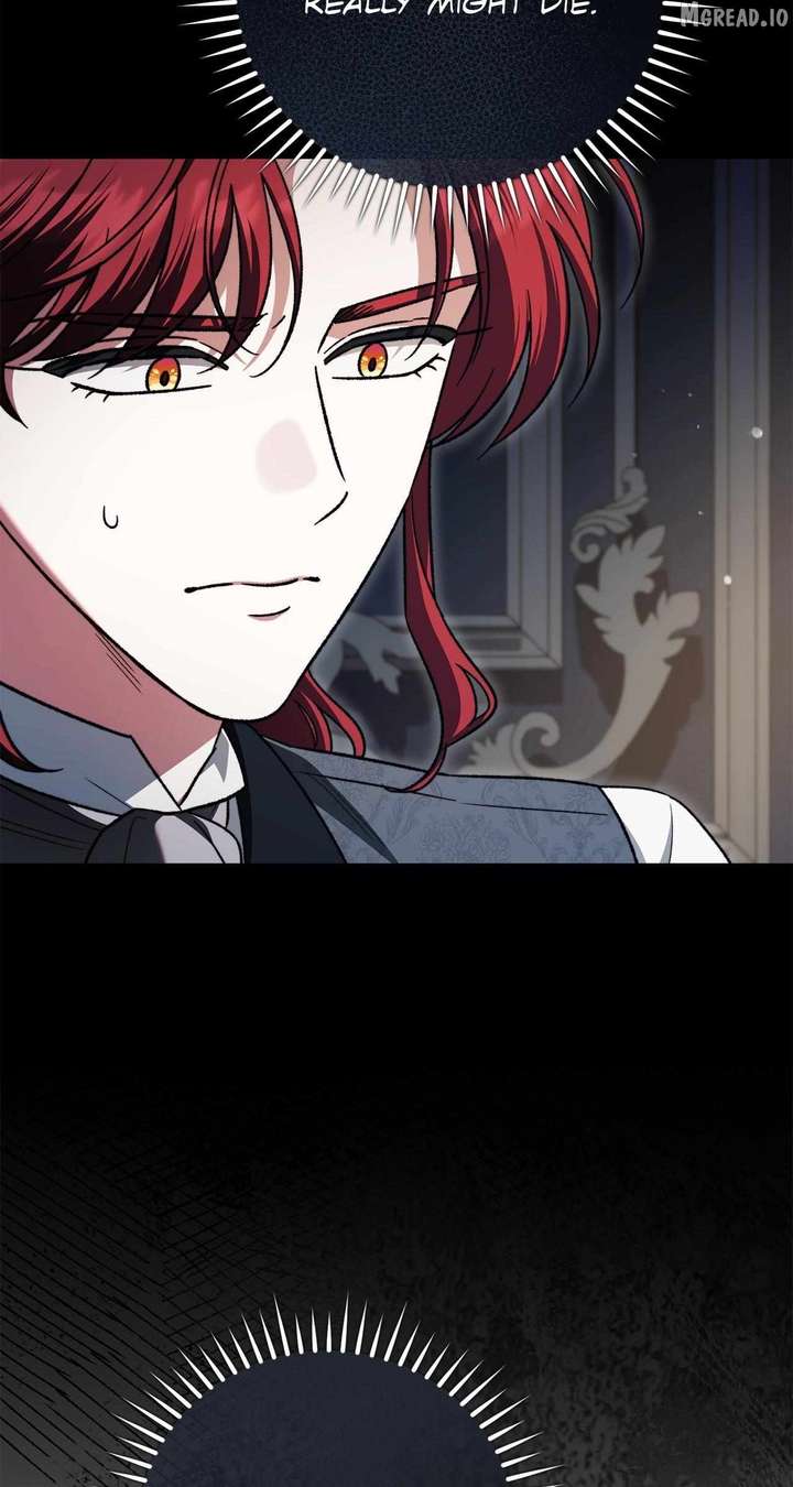 ch 85 25