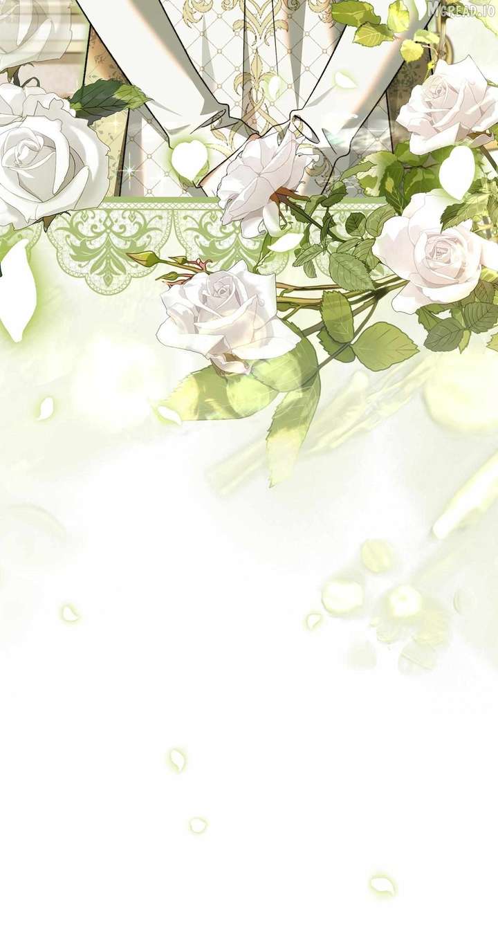 ch 85 39