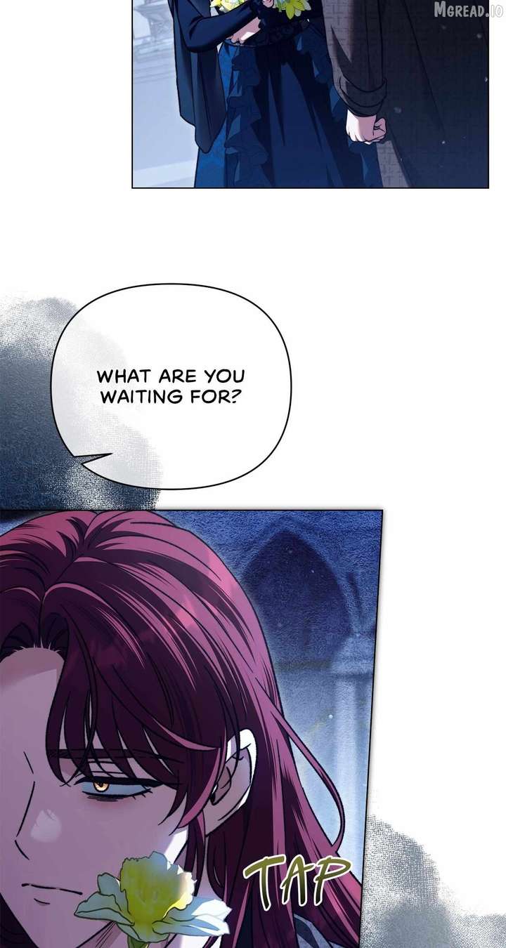 ch 85 81