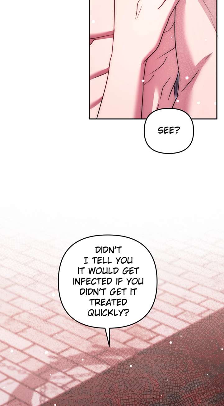 ch 48 2