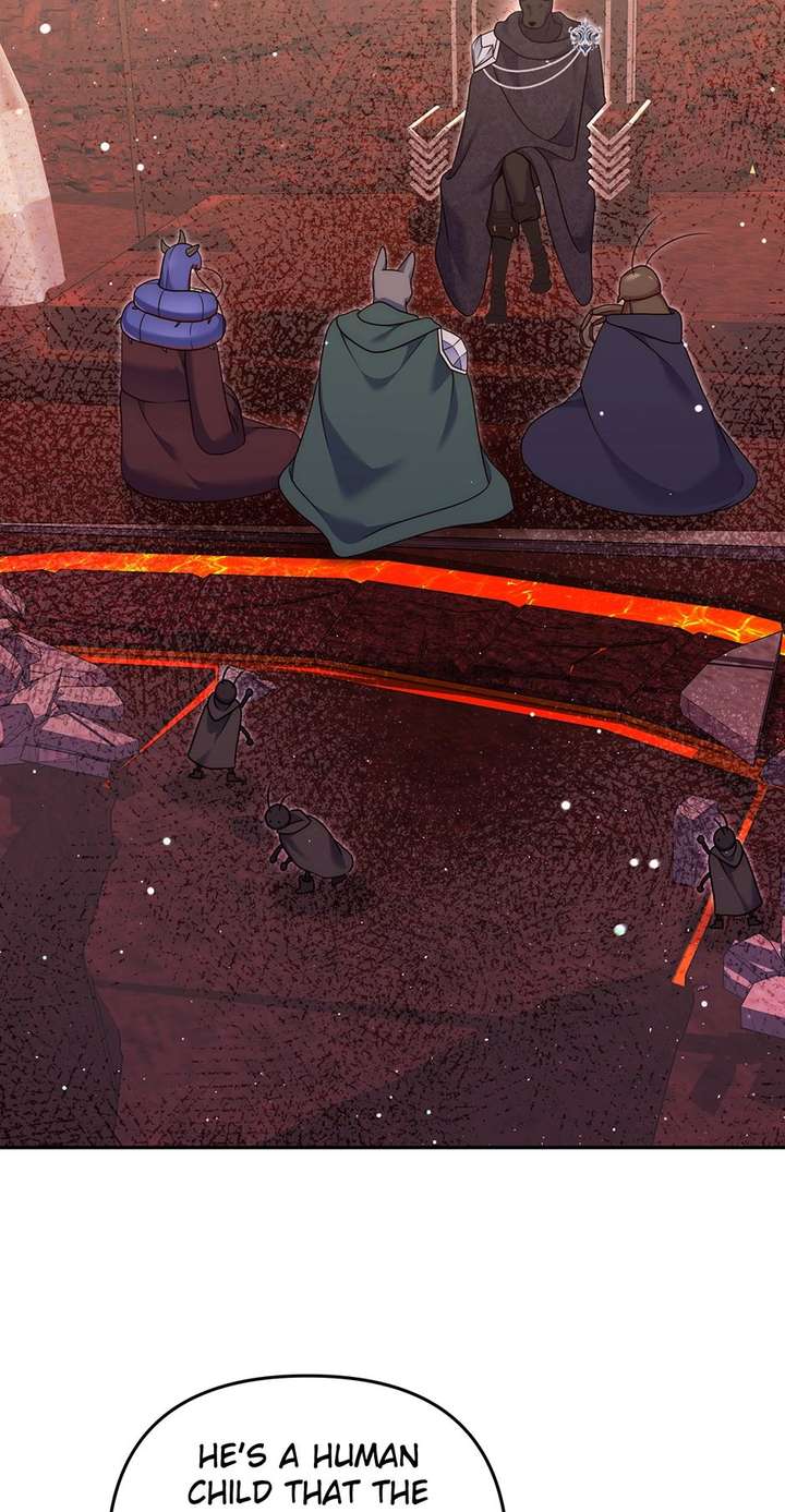 ch 49 50
