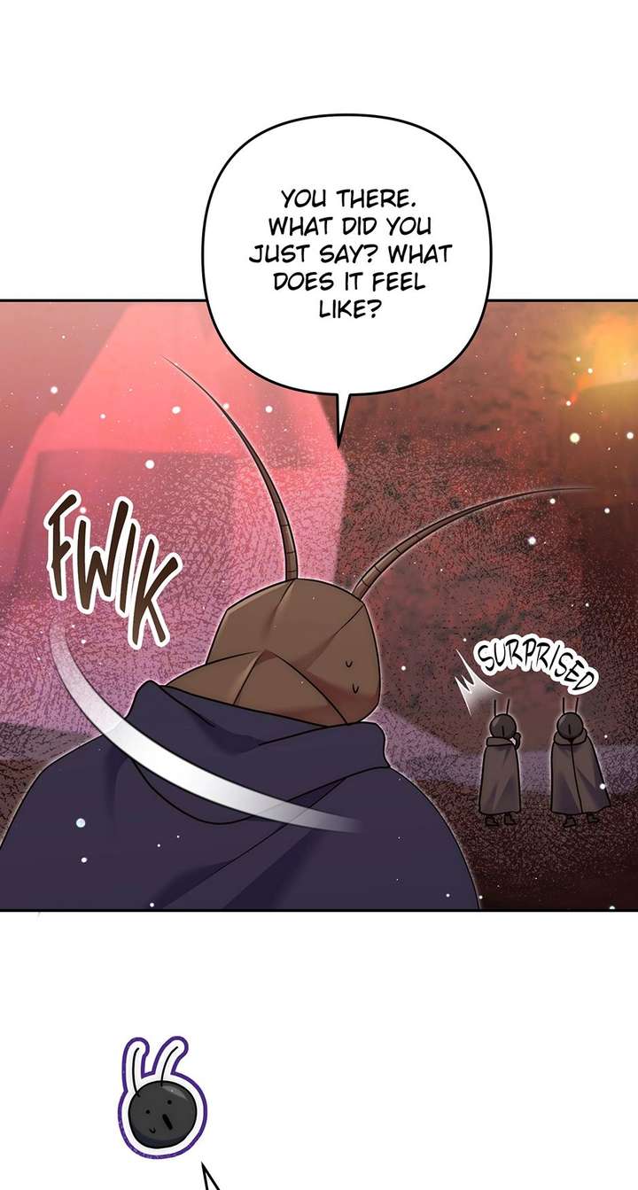 ch 49 61