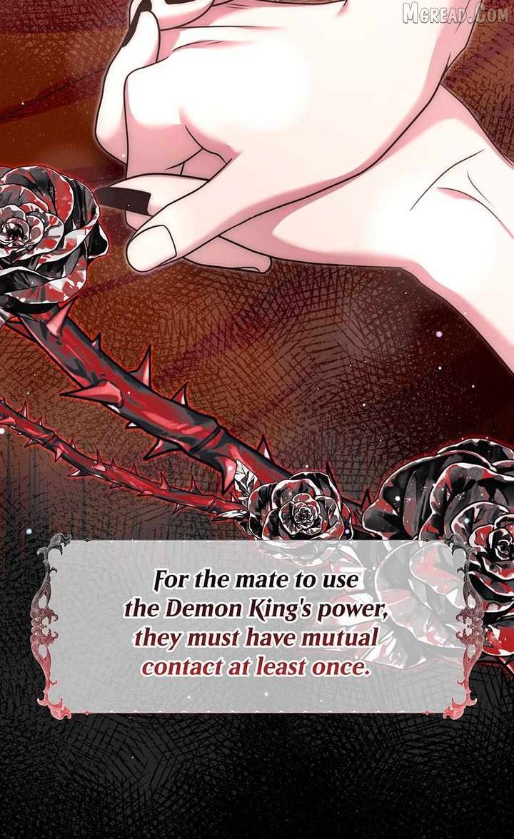 ch 51 13