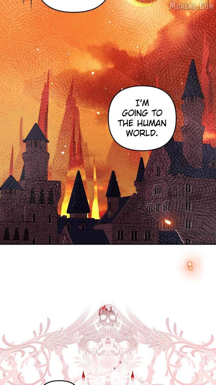 ch 51 29