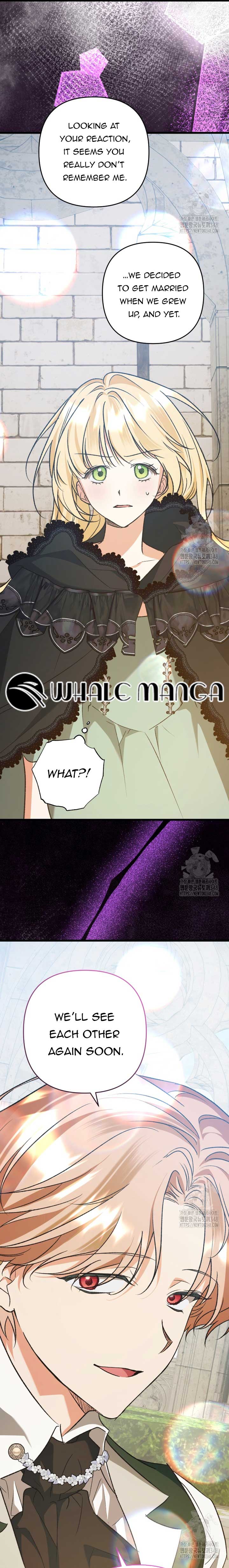 The Male Lead Proposed to Me Chapter 13 95 07