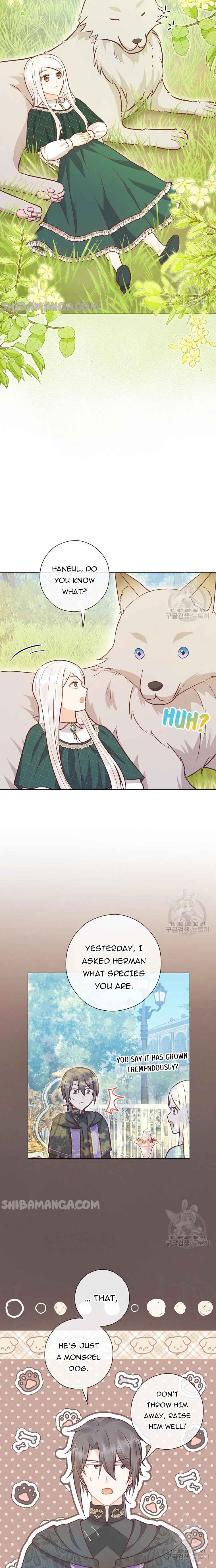 Who Do You Like More, Mommy or Daddy? Chapter 41 78 1