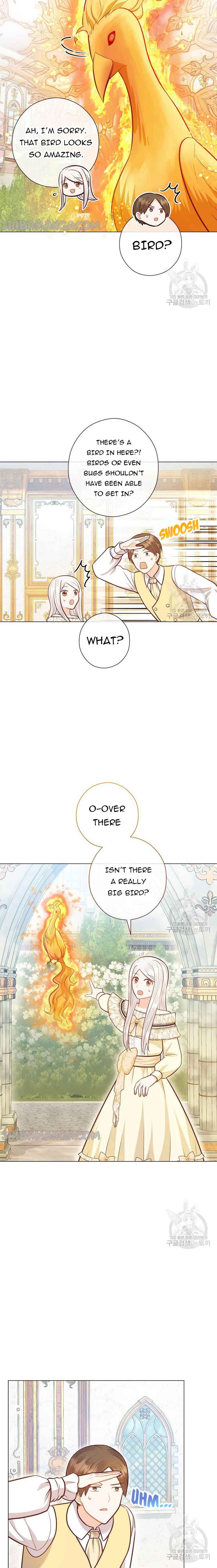 Who Do You Like More, Mommy or Daddy? Chapter 41 93 16