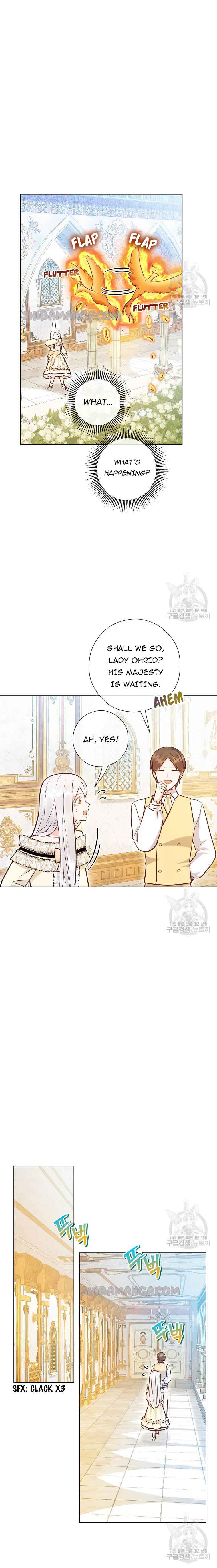 Who Do You Like More, Mommy or Daddy? Chapter 41 95 18
