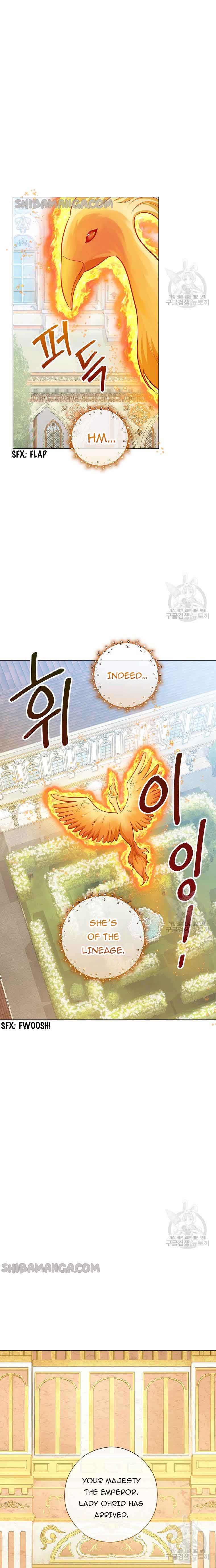 Who Do You Like More, Mommy or Daddy? Chapter 41 96 19