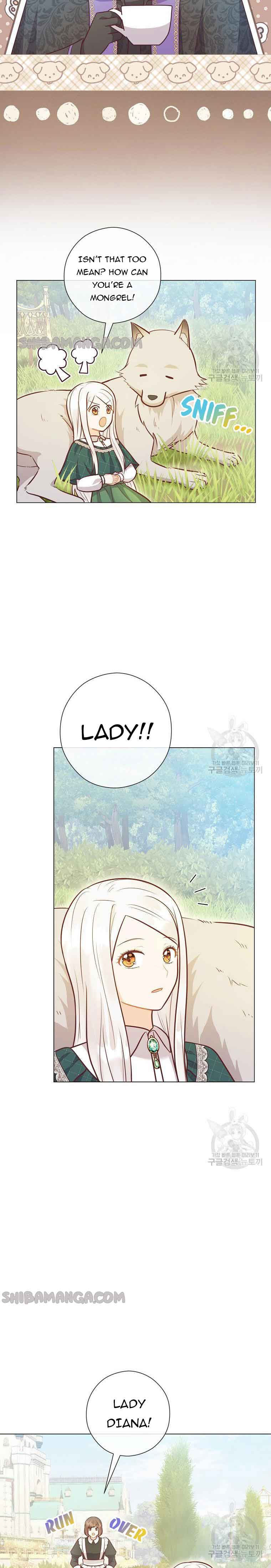 Who Do You Like More, Mommy or Daddy? Chapter 41 79 2