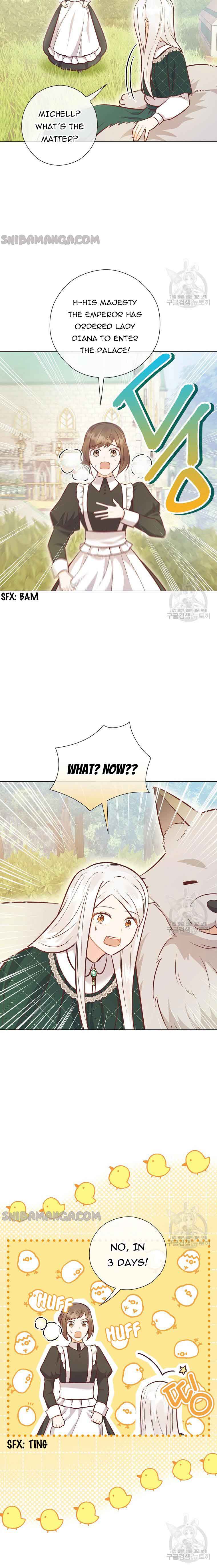 Who Do You Like More, Mommy or Daddy? Chapter 41 80 3