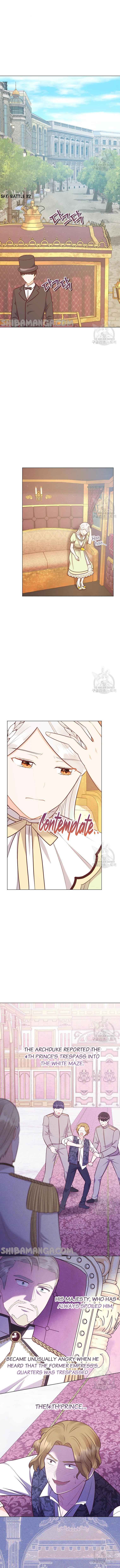 Who Do You Like More, Mommy or Daddy? Chapter 49 48 1