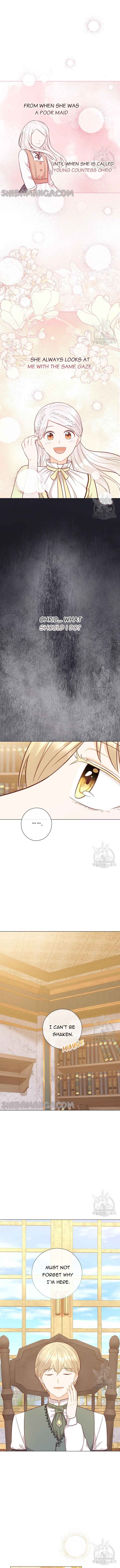 Who Do You Like More, Mommy or Daddy? Chapter 49 58 11