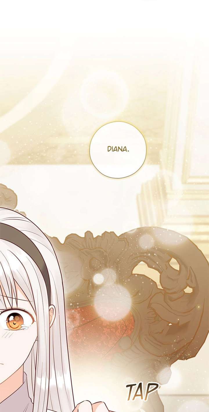 ch 81 31