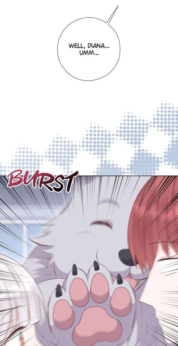 ch 81 63