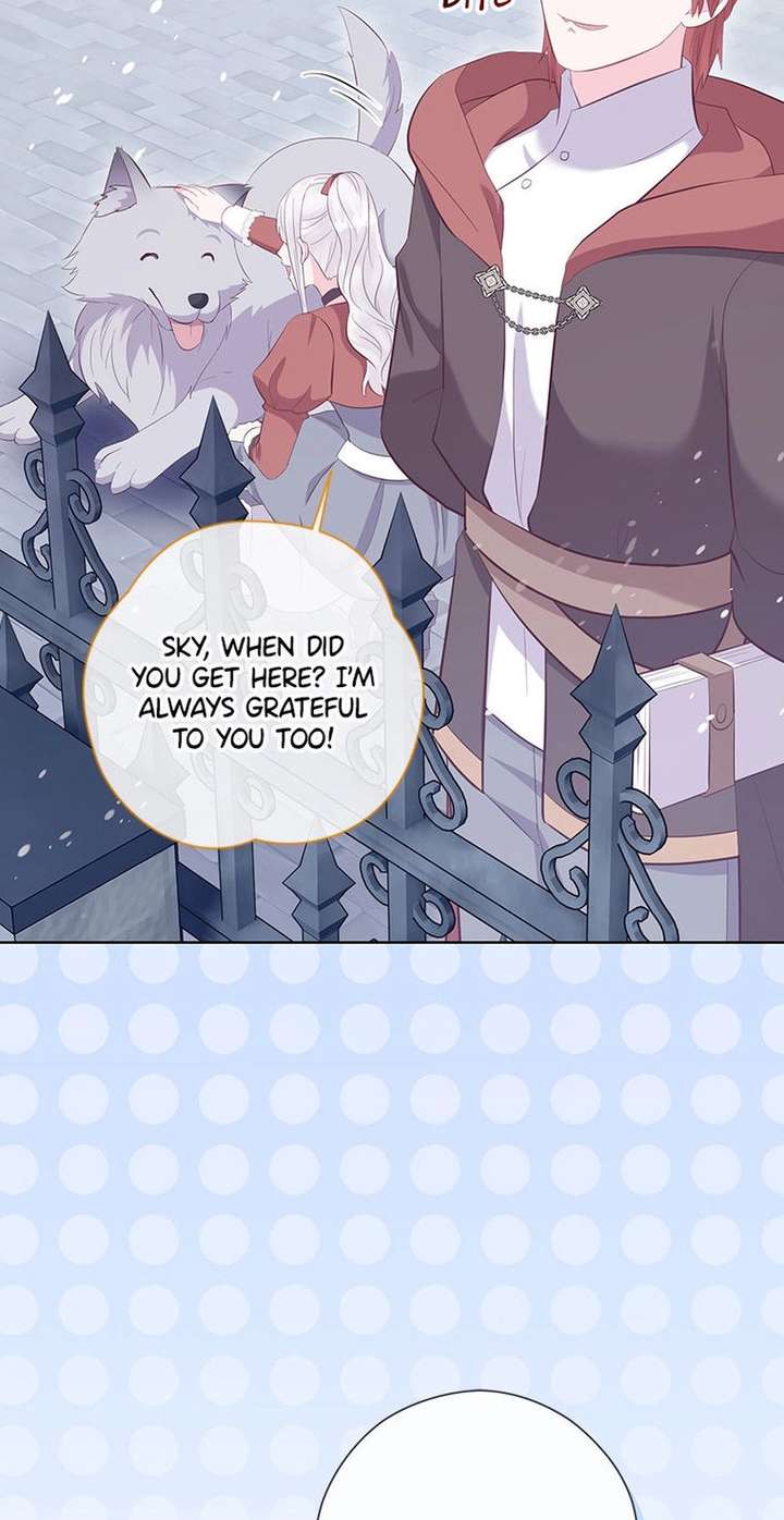 ch 81 65