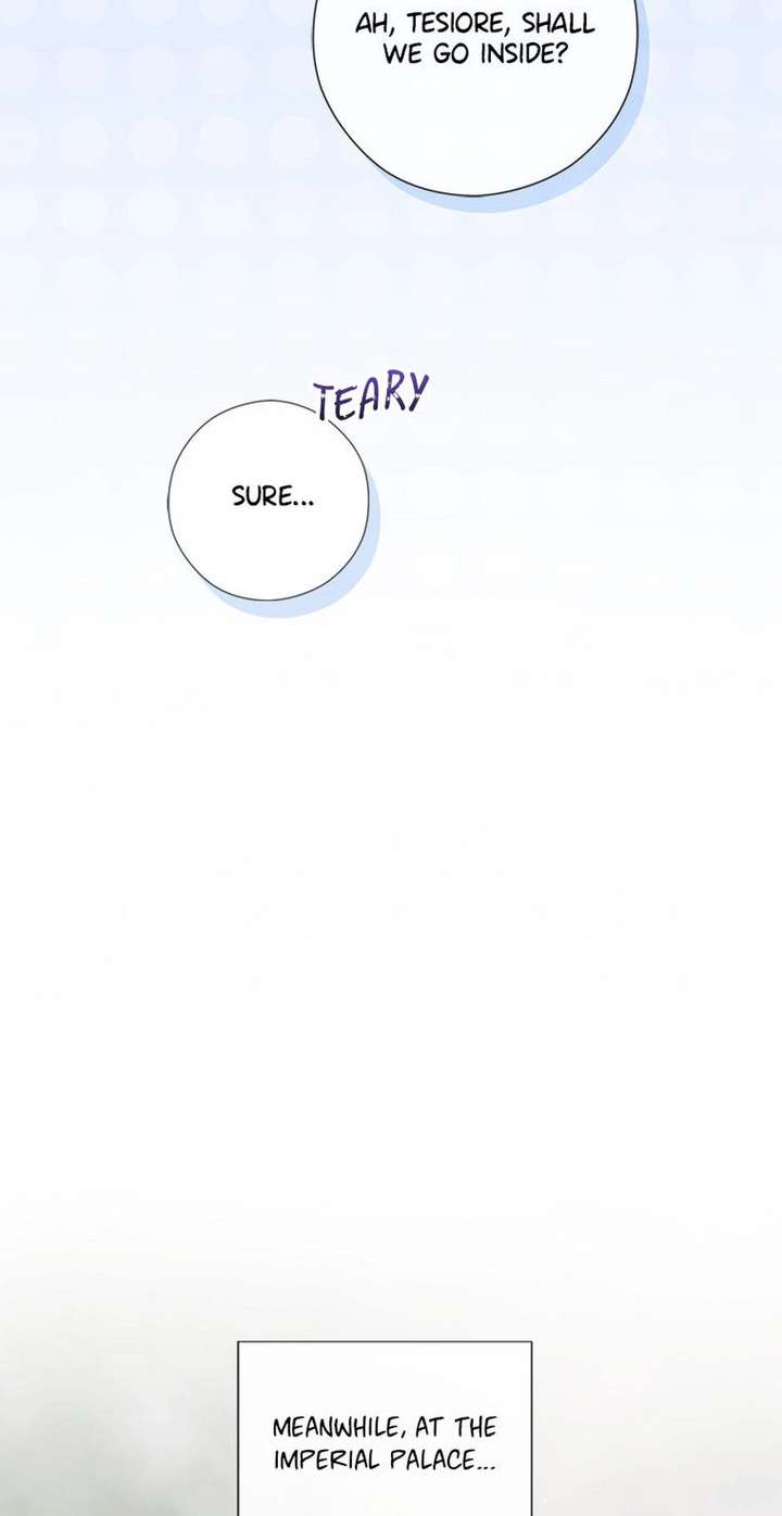 ch 81 66