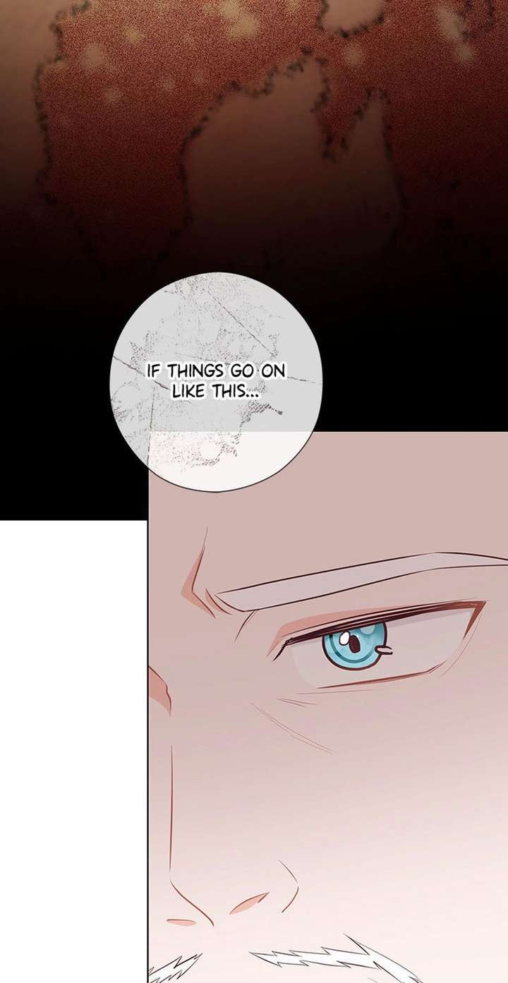 ch 81 81