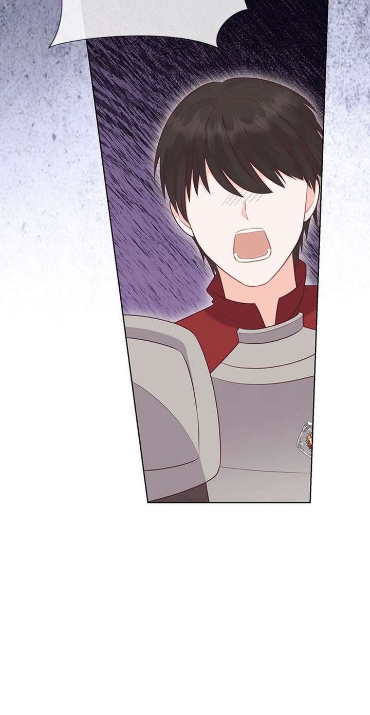 ch 81 84