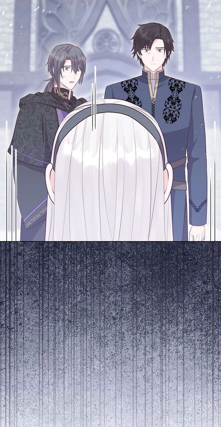 ch 81 9