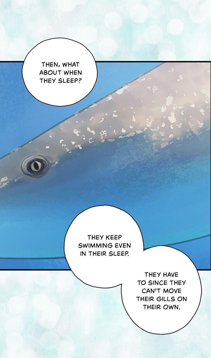 017