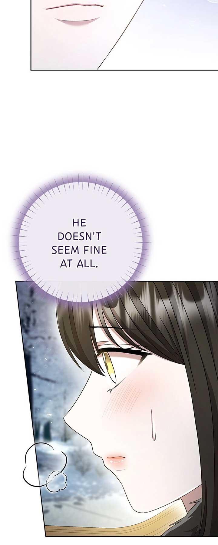 Marriage of Convenience to an Obsession Chapter 27 267 44