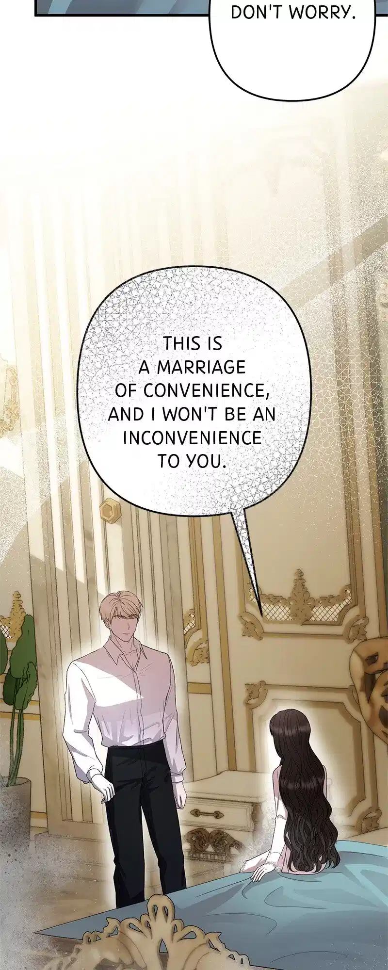 Marriage of Convenience to an Obsession Chapter 37 252 47