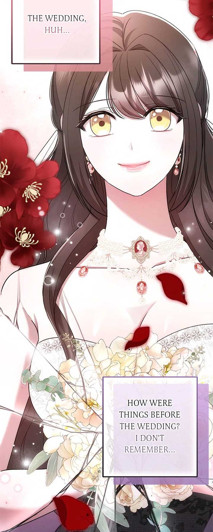 Marriage of Convenience to an Obsession Chapter 40 223 18