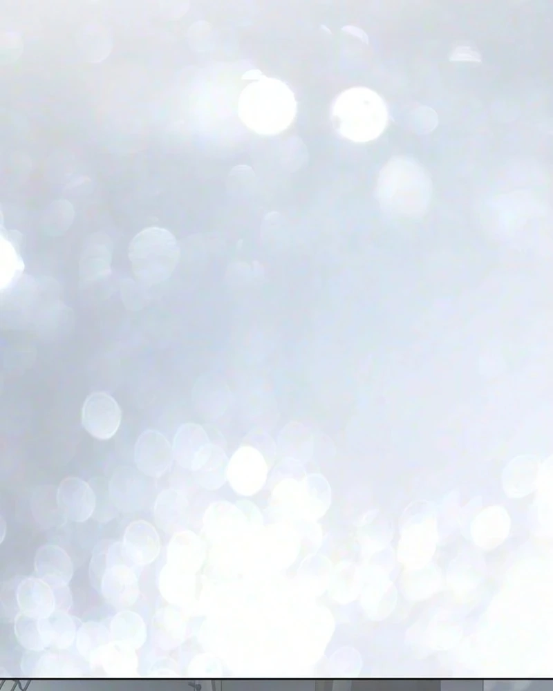 d2c47c29737a