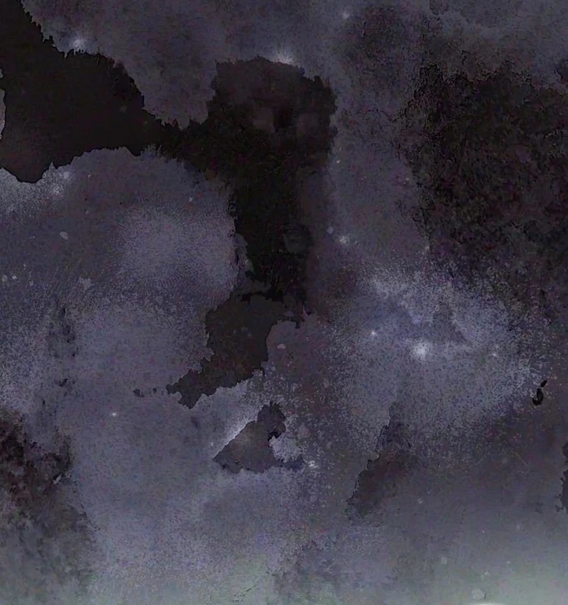 d8e72eb4625f
