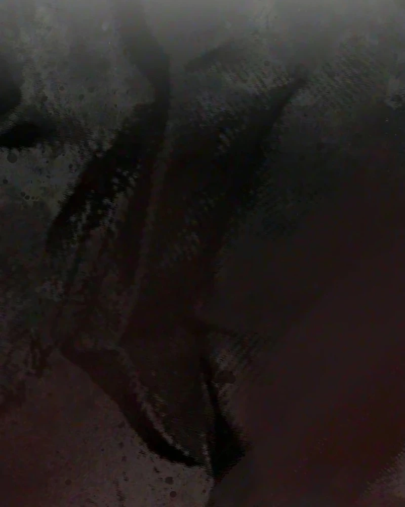 44581e4b3315